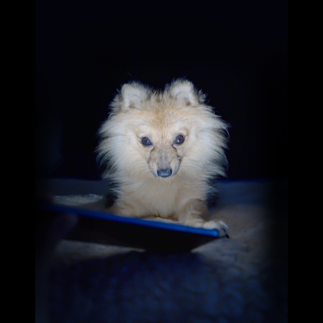 Paso 1 para Ejercer como Autonomo en la Redes